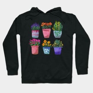 flowers in a pot Hoodie